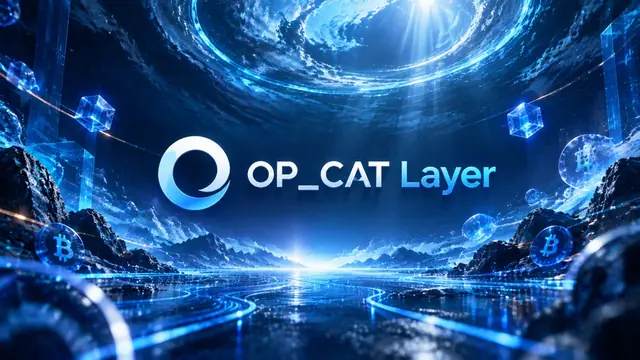 OP_CAT Layer case study cover